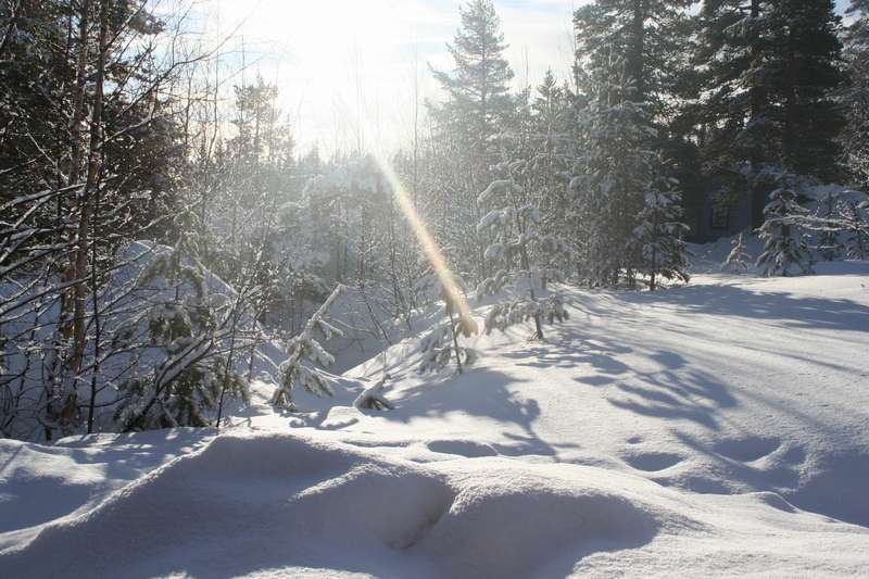 Skidspår Gubbmyren